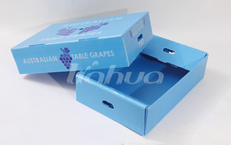 ACINUS BOXES